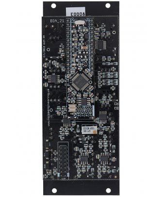 Noise Engineering Basimilus... 2